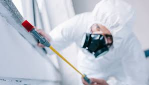 Best Residential Pest Control  in Hlside, IL